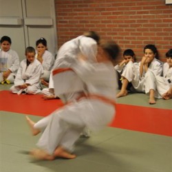 DSC 0080  Medium - Judoclub Zaventem 